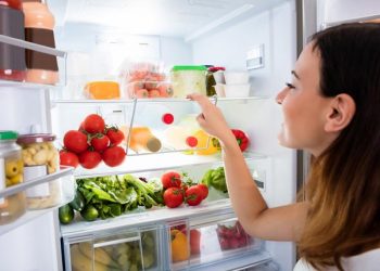 Tips On the best way to Refrigerate and Freeze Food – Keep It New and Cool
