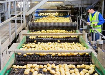 Set aside Time And Cash With A Good Food Conveyance Administration